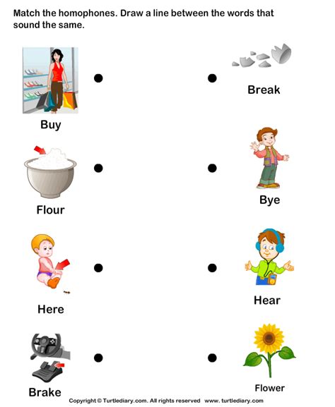 Matching Homophones Worksheet Turtle Diary