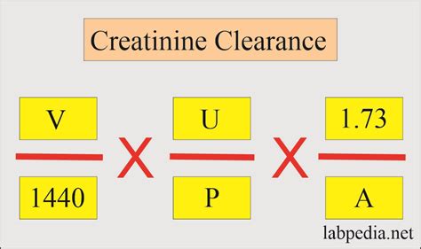 Calculating Creatinine Clearance