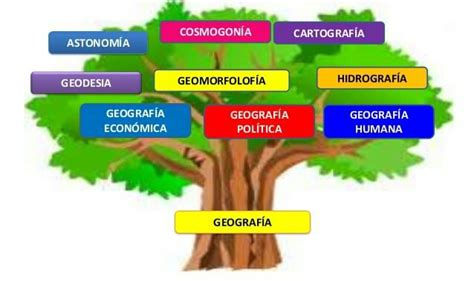 Ramas de la Geografía Cursos Online Web