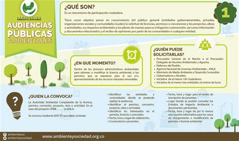 Infografia Qué son las audiencias públicas ambientales Asociación