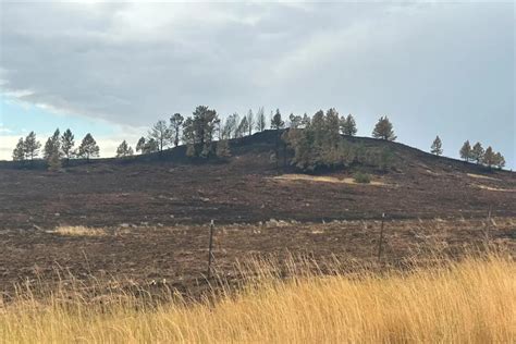 ‘unprecedented Wildfire Rages Through Wyomings Bighorn National