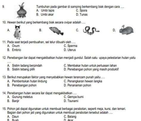 Soal Pas Ipa Kelas Semester Soal Ipa Kelas Semt Ilmu