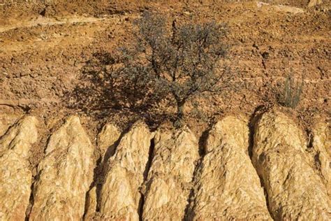 ¿hay Sequía En España Geografía Infinita