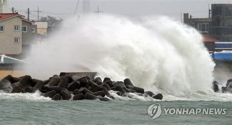 태풍 고니 제주에 피해 안남기고 지나가특보 해제종합 연합뉴스