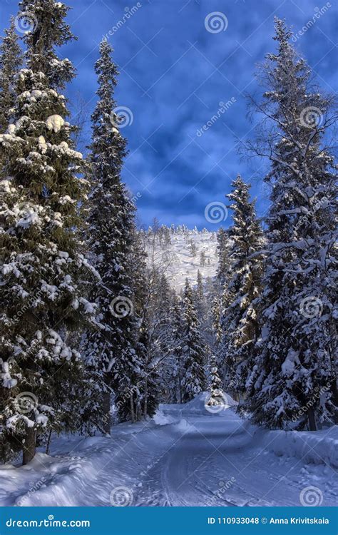 Wonderful Wintry Landscape. Stock Photo - Image of frost, holiday ...