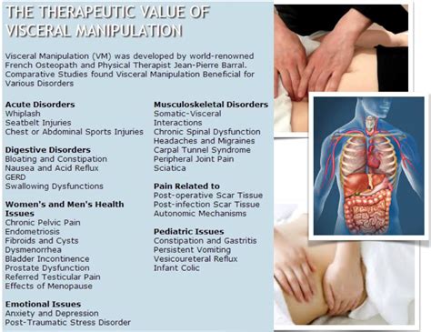 Visceral Manipulation Be Healthy Stay Healthy Massage