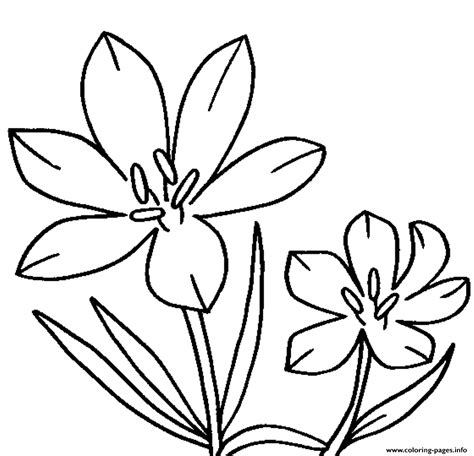 Blossom Crocus Flower Coloring Page Printable