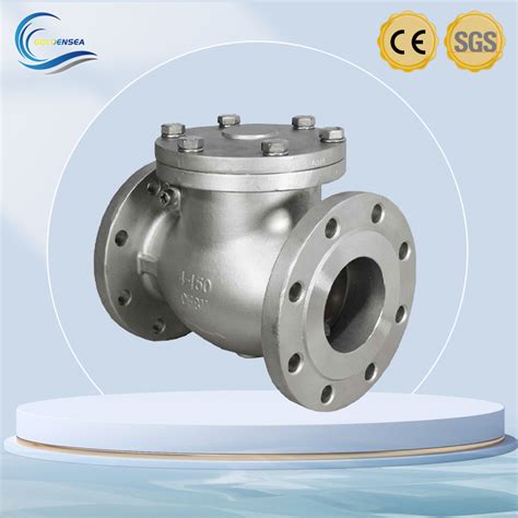 Factory Wholesale Lb Stainless Steel Swing Type Check Valve Dn