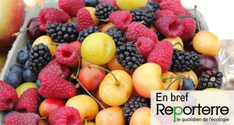 Les Fruits Et L Gumes Toujours Plus Contamin S Aux Pesticides Oneplanete