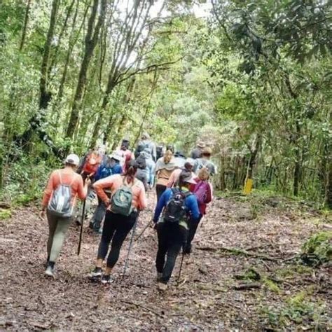 Conozca Los Cinco Mejores Senderos En Costa Rica Para Iniciar En El