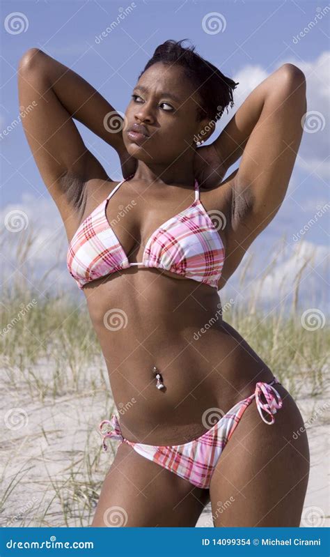 Bikini Babe Stock Photo Image Of African Swimsuit Skin 14099354