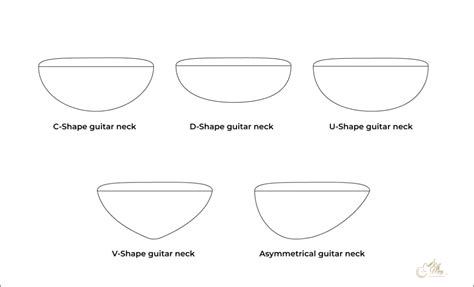 Riff Different Types Of Guitar Necks