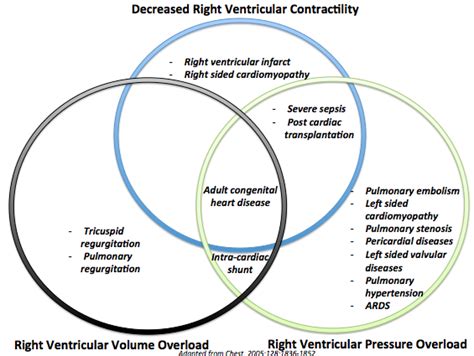 Right heart failure pathophysiology - wikidoc