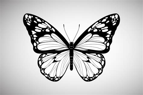 Hand Drawn Butterfly Vector Graphic By Ghagra Creative Fabrica