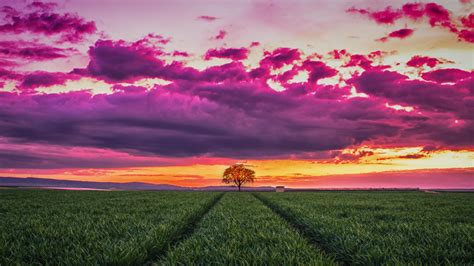 Wallpaper Sunset Field Grass Sky Clouds 4k Nature 16130