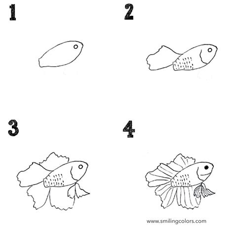 How To Draw A Fish Step By Step Infoupdate Org