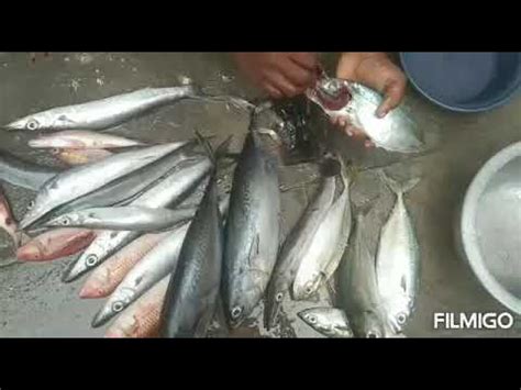 Soorai fish fry. - YouTube