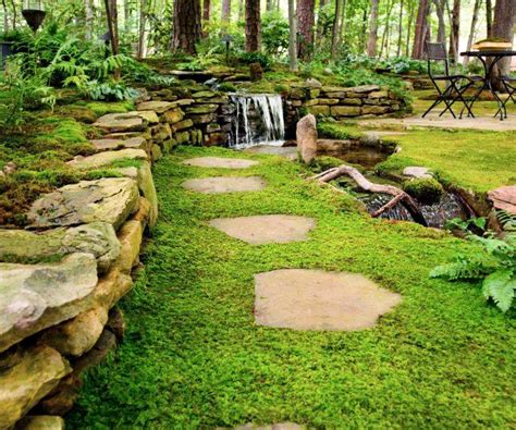 25 Types Of Moss Garden Ideas To Try This Year Sharonsable