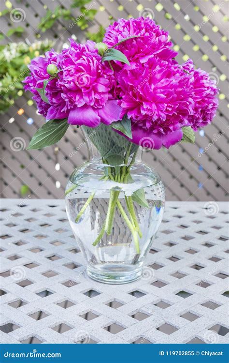 Clear Vase Filled With Beautiful Pink Peonies Stock Image Image Of