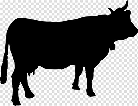 Beef Cattle Highland Cattle Silhouette Silhouette Transparent