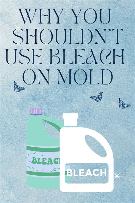 Don’t Be Cleaning Mold With Bleach