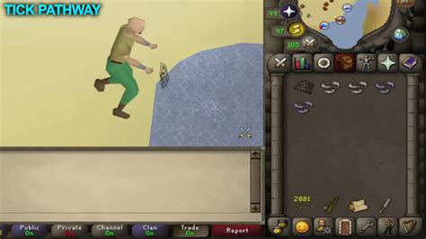 Complete 1 99 Fishing Guide For Osrs