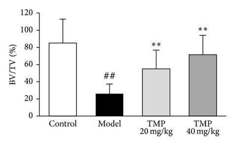 Tetramethylpyrazine Tmp Inhibits The Microstructure Destruction Of