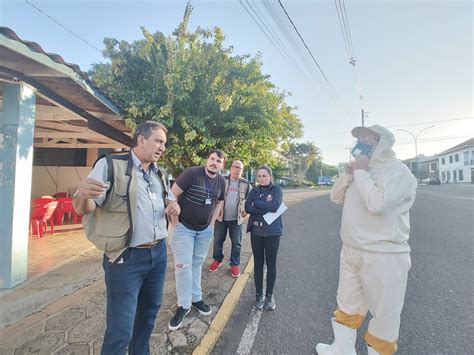 Em Um M S Casos De Dengue Crescem Na Regi O Grupo A Hora