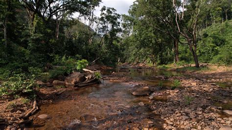 Conservation Society Of Sierra Leone 2024 Jrs Biodiversity Foundation