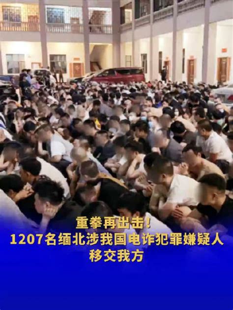 严惩！1207名缅北电诈犯罪嫌疑人移交我方新浪新闻