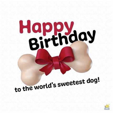 Happy Birthday To Woof Birthday Wishes For Dogs Happy Birthday Dog