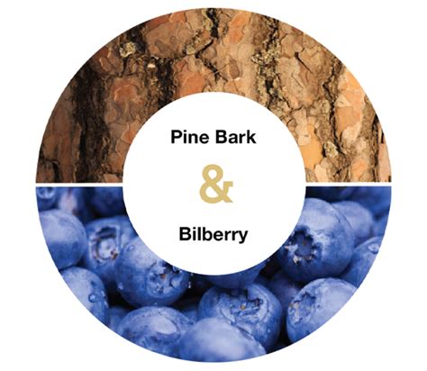 Features S Lutein Bilberry Pine Bark Plus Products Naturally Plus