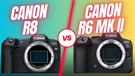 Canon R8 VS Canon R6 MK II Which Camera Should You Buy For Bird And