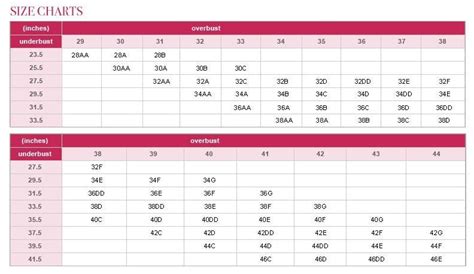 Lingerie Sizing Guide