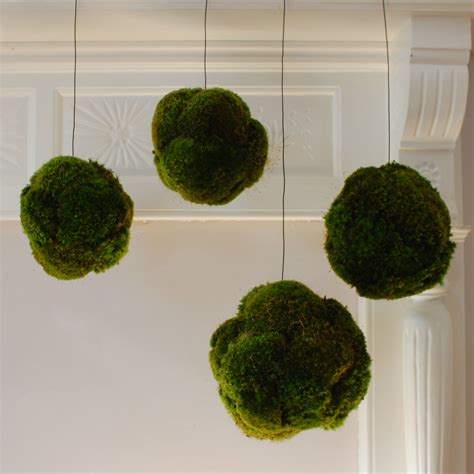 Hanging Moss Balls Designsponge Diy Moss Ball Moss Balls Moss Decor