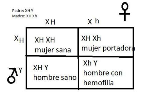 Si Se Casa Un Hombre Normal Para Hemofilia Con Una Mujer Portadora Cual