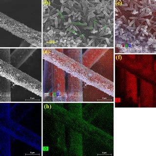 Surface Morphology And Energy Dispersive Edx Of Tio Cf A Sem