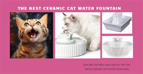 The Best Ceramic Cat Water Fountains Reviewed Elegant Sips