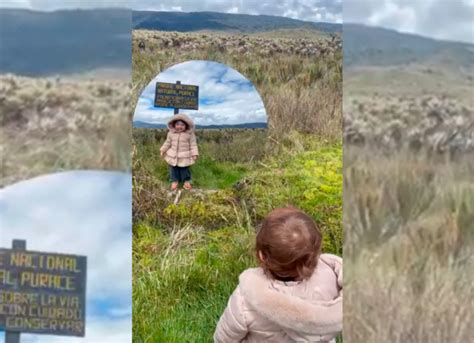 Video La Serenata Que Una Tierna Beb Le Dedic A Unos Frailejones