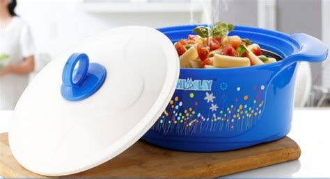 Round Color Coated Plastic Insulated Hot Pot Pattern Printed Size Standard At Rs