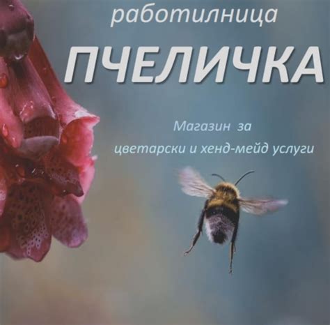 Работилница „Пчеличка”