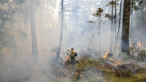 Why the Smith River Complex Fire is burning so quickly: parts of Del ...