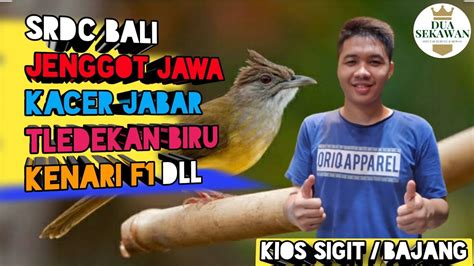 REVIEW HARGA BURUNG KIOS SIGIT BAJANG TERBARU PASAR PRAMUKA YouTube