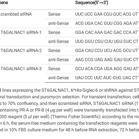 Sirna Sequences For Gene Silencing Assay Download Scientific Diagram