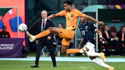 Profil Cody Gakpo Striker Timnas Belanda Yang Selalu Cetak Gol Di