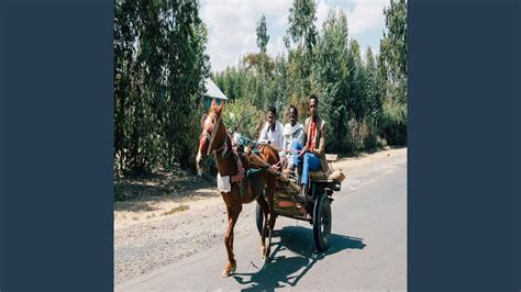 werhi wetset youtube