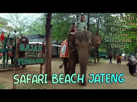 Safari Beach Jateng Taman Safari Pantai Eksotis Kuliner Semua Ada