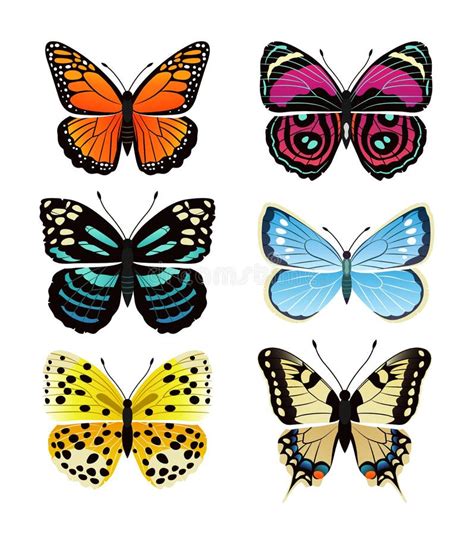 Butterflies Types Collection Vector Illustration Stock Vector ...