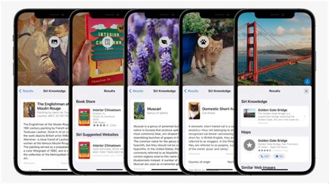 苹果 Ios 15 正式发布：全新通知界面与 Facetime，天气、照片、钱包大改进 51cto