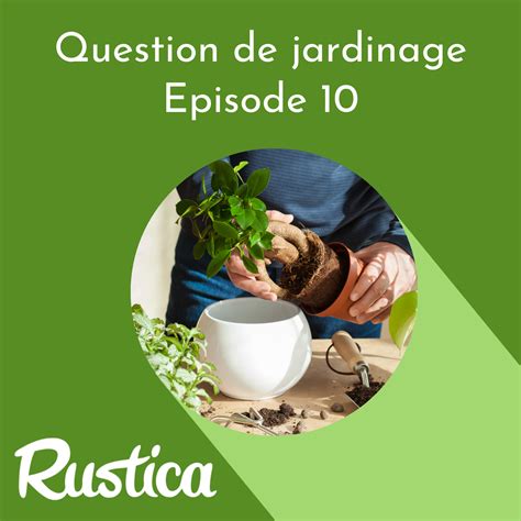 Rempoter Ses Plantes D Int Rieur Podcast Question De Jardinage